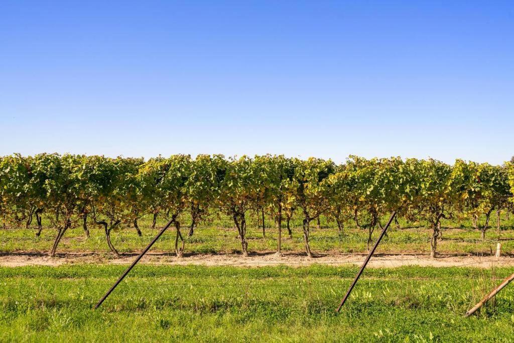 Waterfront Niagara-On-The-Lake Farmhouse On A Vineyard Vila Exterior foto