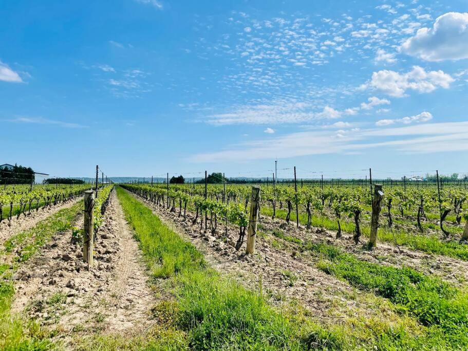 Waterfront Niagara-On-The-Lake Farmhouse On A Vineyard Vila Exterior foto